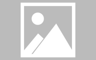 新沂新区景区网站建设（in art criticism,you must assume）
